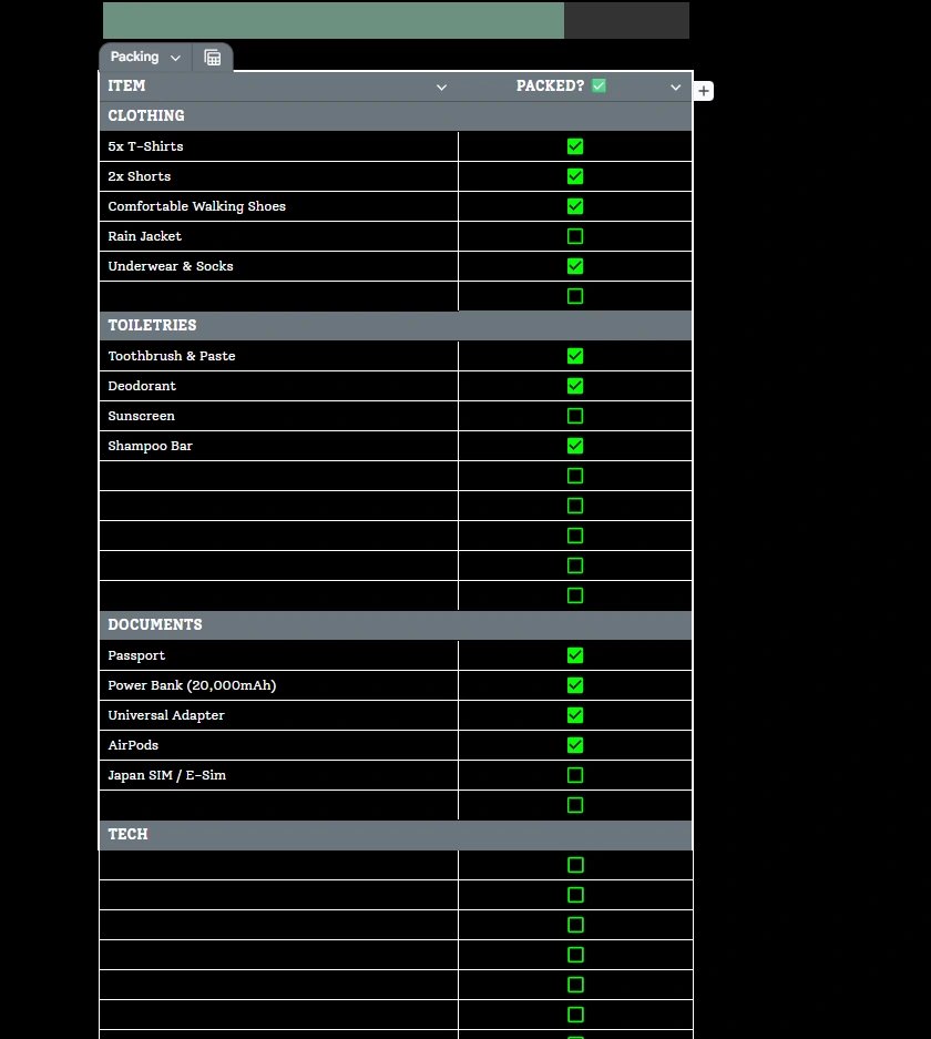 A categorized travel spreadsheet packing list with checkboxes.
