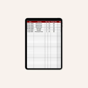 Daily Workout Log Google Sheets Entry Tab for Sets and Reps